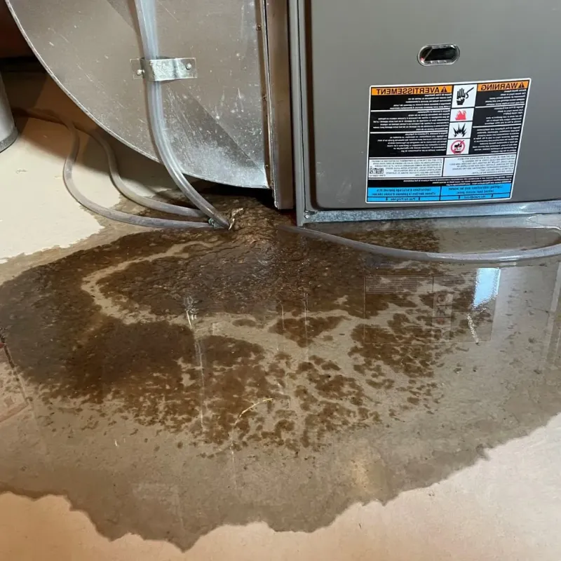 Pipe Burst and Leak Restoration in Stromsburg, NE